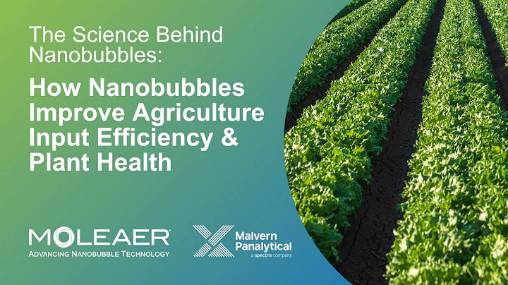 Discovering the Hidden Science of Nanobubbles: Boosting Plant Health and Crop Yield