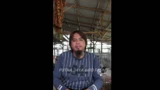 cara mengatasi kaki ayam yg gemetar saat di gebrak#versi bg Hj.antoni medan #sorotanaye