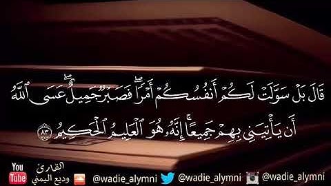 القارئ الشيخ وديع اليمني || آيات من سورة يوسف من أجمل التلاوات تخطف القلوب 💞🌸