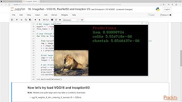 Hands-On Computer Vision with OpenCV 4, Keras & TensorFlow2:PreTrained ImageNet Model| packtpub.com
