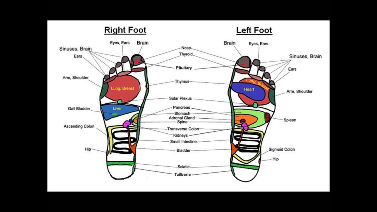 Foot Reflexology Map for Beginners (4) - YouTube