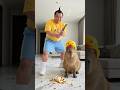 誕生日を忘れられたカピバラ…と思いきや、最高のサプライズ！？