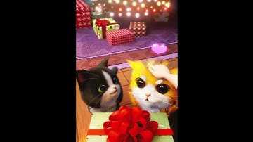 KITTEN MATCH | #kittenmatch #shorts #cutecat