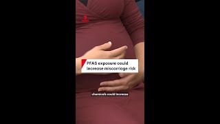 Exposure to PFAS chemicals could increase the risk of miscarriage