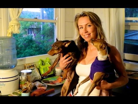 Day 1: What and Why I feed my dogs VEGAN food