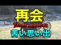 【再会（苦い思い出）】空波鳥の呟き2021