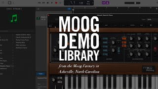 Minimoog Model D for macOS | GarageBand Intro