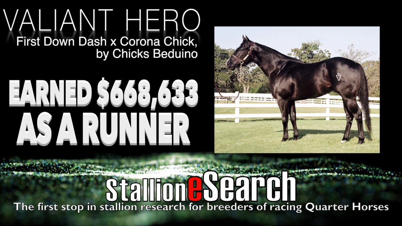 Stallionesearch Stallion Spotlight March 6th thru March 12th YouTube