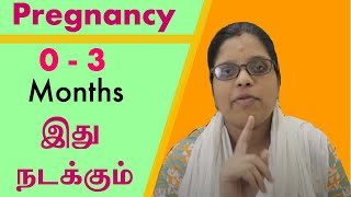 இதெல்லாம் நடக்கும்  First 0 to 3 Months Pregnancy Experience