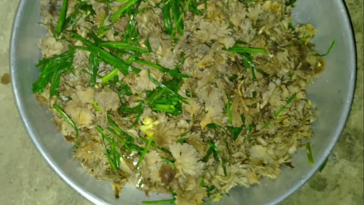 Delicious food🤩Gill Mushrooms.🍄😋