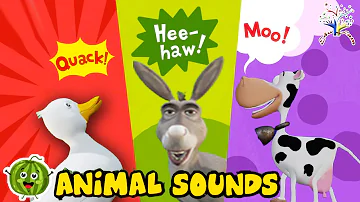 Animal Sound Song || These Are The Animal Sound TA4AJ || Edufam Kids Song and Nursery Rhymes