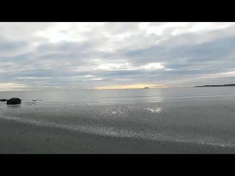 Beach Bird Watching no talking