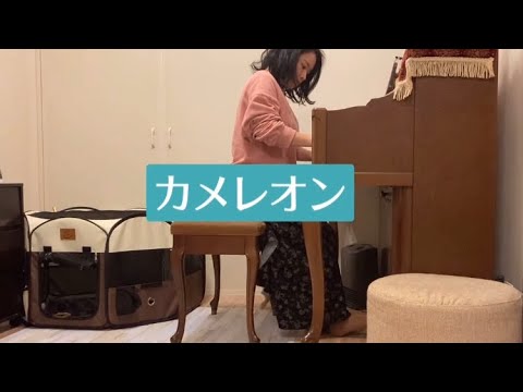 【新曲耳コピ中】カメレオン - King Gnu -『ミステリと言う勿れ』主題歌