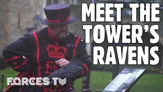 Meet The Tower Of London's Ravenmaster | Forces TV