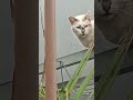 27 de maio de 2026