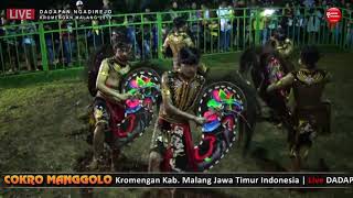 Solah Sigrak Jaranan Senterewe == COKRO MANGGOLO Live Kromengan Malang 2019