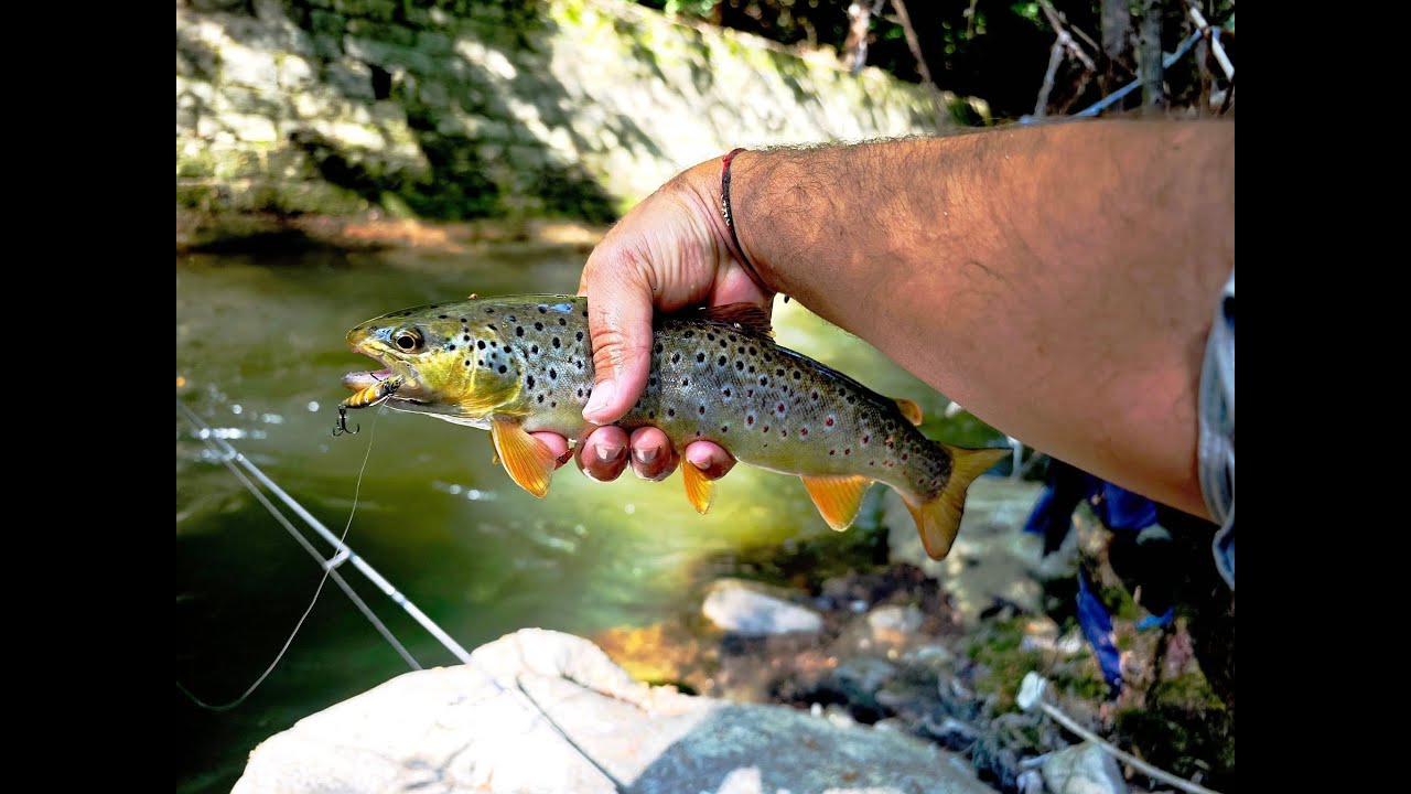 На прохлада в планината за пъстърви