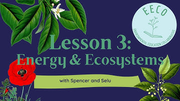 Energy and Ecosystems | Lesson 3