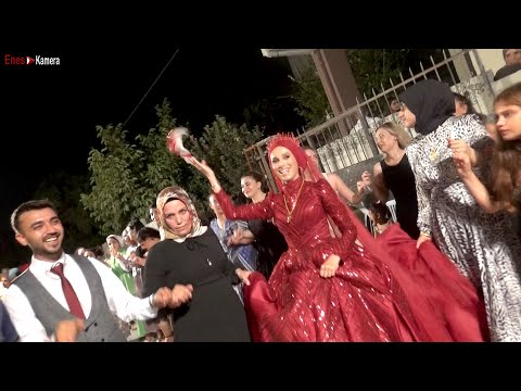 Oy Naze Naze Naze Halay - Tarsus Yıkılıyor Harika Düğün - Şivan Müzik