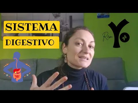 Sistema digestivo funcionamiento y conocimiento