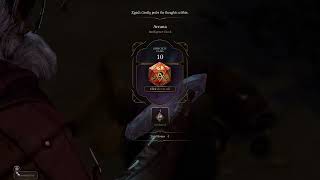 How To Change Dice Skin In Baldur's Gate 3