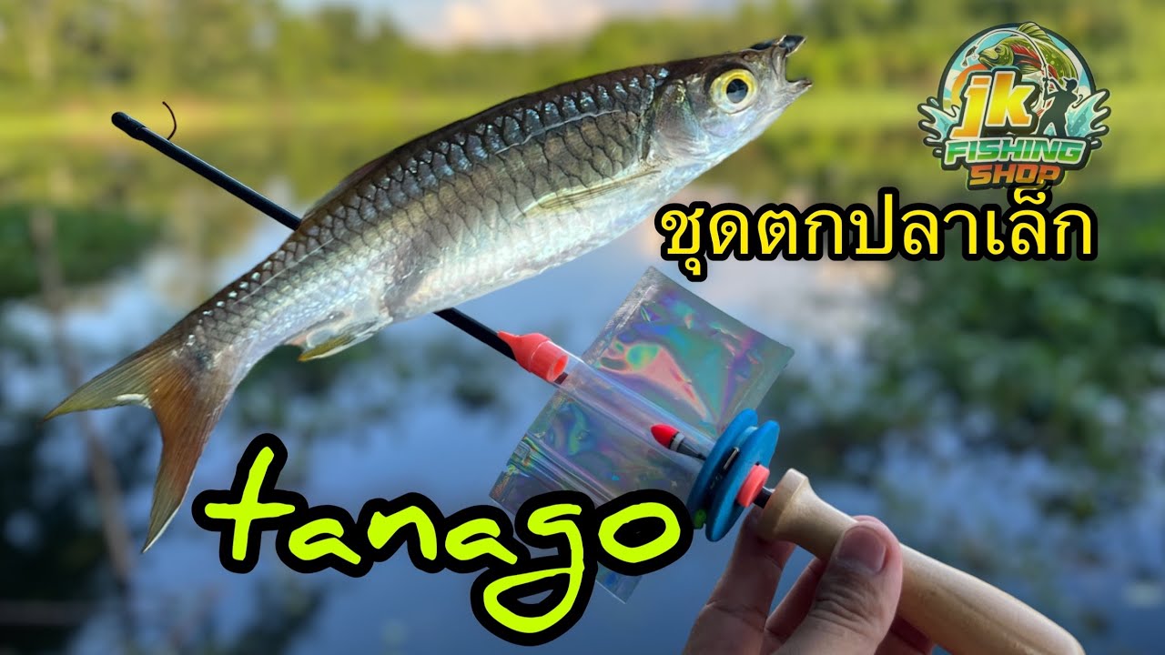 รีวิวอุปกรณ์ตกปลาเล็ก/tanago
