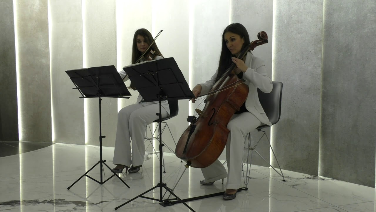 Струнный дуэт Violin Group DOLLS - презентация