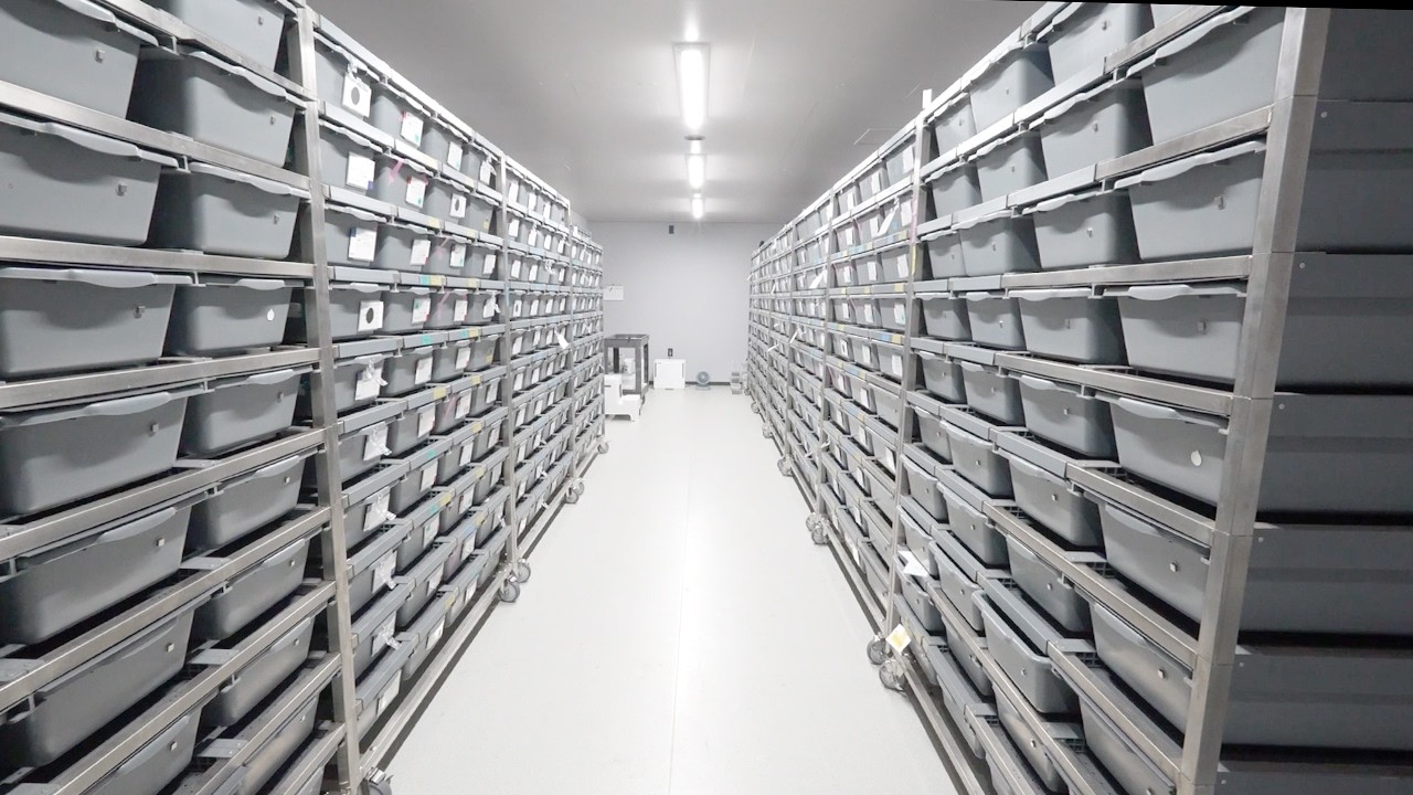 日本最大規模の蛇の繁殖場で働くことになりました