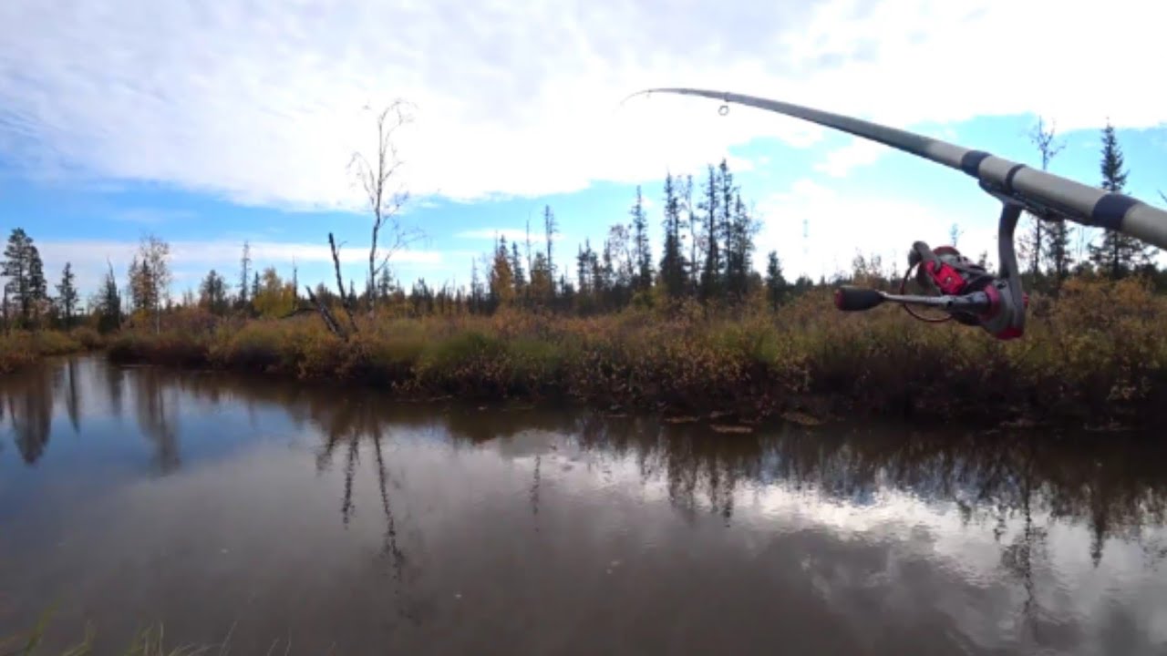 Нашли рядом с городом речку в котором мохтик клюет дуром!!!