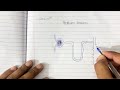 Easy way to draw Nephron diagram for class 10th (in 2 minutes)