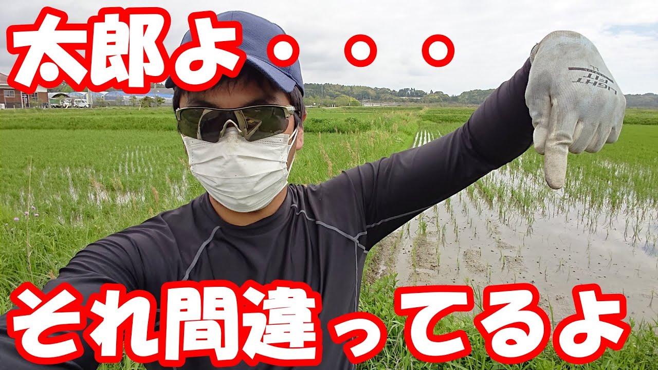 石灰窒素の取り扱いには気を付けましょう！私は間違えました…