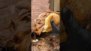 Günde 3 Şiş Döner Satıyor
