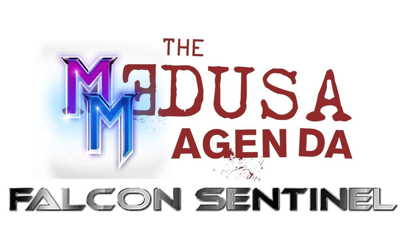 MisterMyr - Falcon Sentinel // Art Showcase (feat.) Chris Selby @art_chris