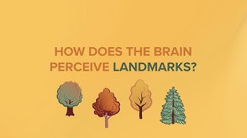 How the Brain Perceives Landmarks