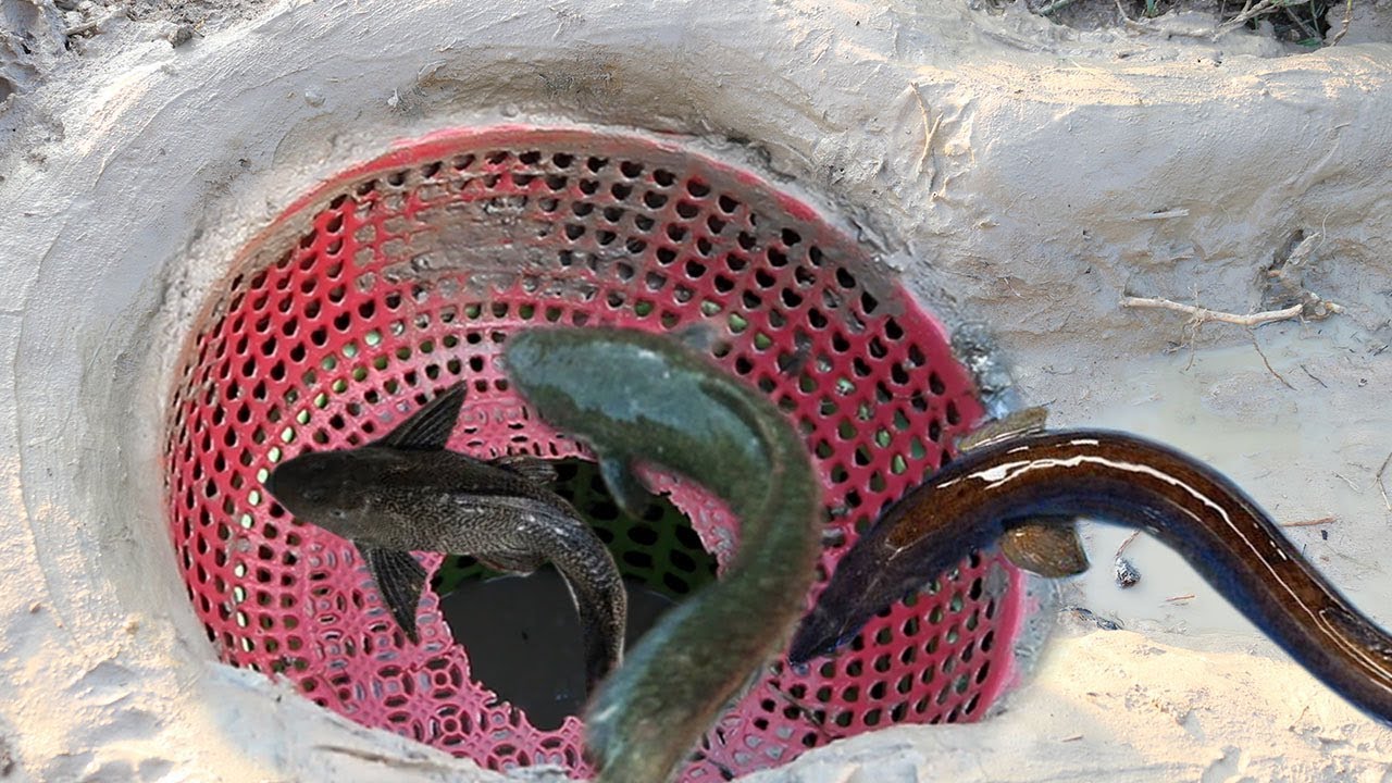 Build Plastic Basket Hole Fish Trap