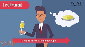 Quelle est le but de la fermentation malolactique ?