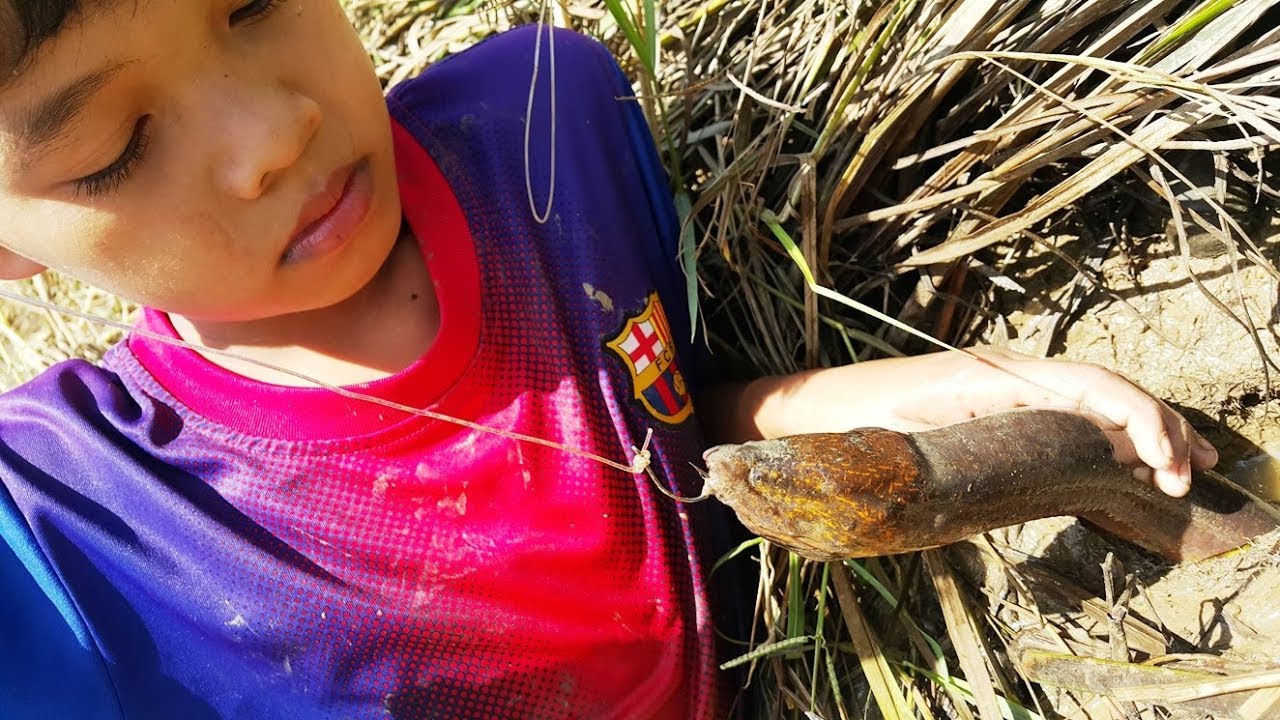 Primitive Technology Simple DIY Python Snake Trap Using Hook Yellow ...