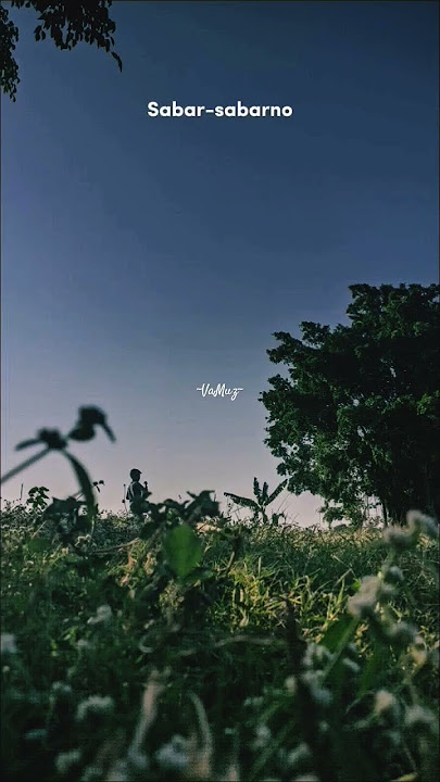Nemu - Gilga Sahid #gilgasahid #nemu #story #storywa #shortvideo #shorts #shortsfeed