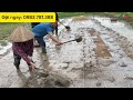 Gieo mạ khay siêu đơn giản ai cũng làm được, đi cấy vừa nhanh vừa nhàn lại vừa năng xuất