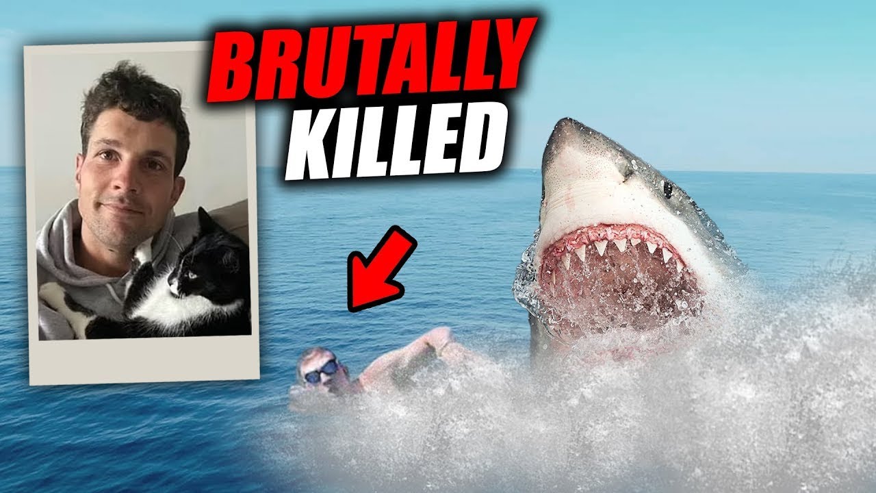The TERRIBLE Shark Attack on Simon Nellist YouTube