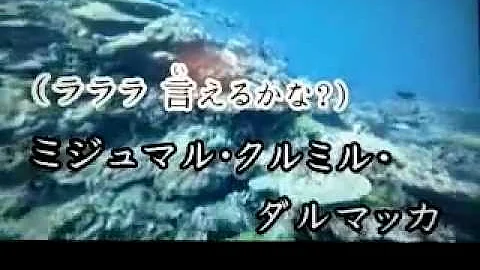 ポケモンいえるかなｂｗ