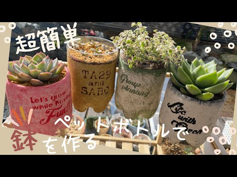 リメイク鉢 DIY 】捨てたらダメ🙌ペットボトルで節約鉢を作ろう
