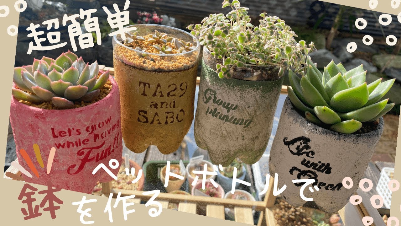 リメイク鉢 DIY 】捨てたらダメ?ペットボトルで節約鉢を作ろう 