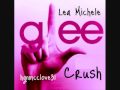 Crush- Glee Cast