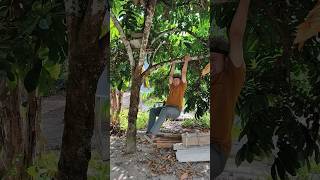 Laki Non Sugayunseshorts trending funny subscribe