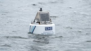 Shark Detection Buoy Deployment in the Gulf of Maine screenshot 2