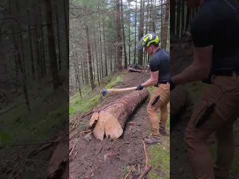 Holzliefern