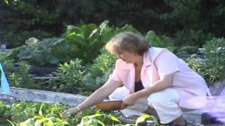 Permaculture Growing & Publishing With Maddy & Tim Harland