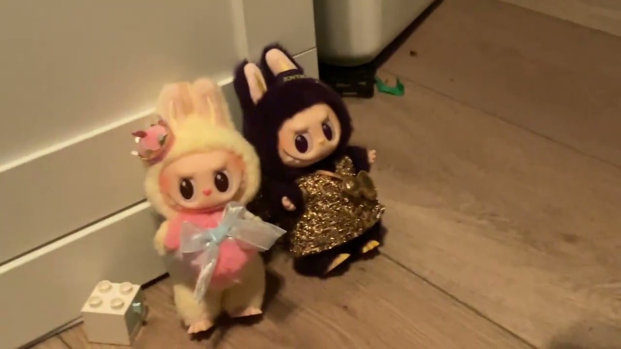 The hand puppet show when hand puppet and Shawn get Labubus