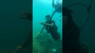 Exploring the depths of Arabian sea...